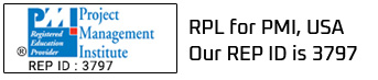 PMI Logo